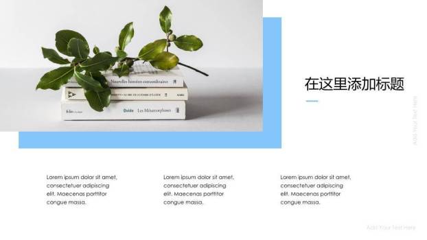 水彩湖畔村落乡间动漫感文旅介绍PPT模板8