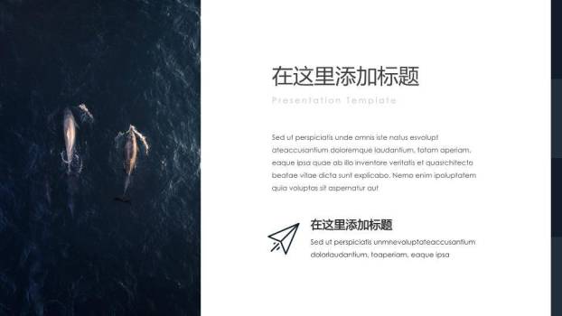 蓝鲸跃水水彩动漫浪漫鲸鱼之恋PPT模板8