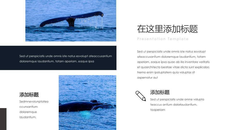 蓝鲸跃水水彩动漫浪漫鲸鱼之恋PPT模板6