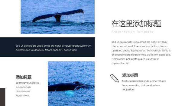 蓝鲸跃水水彩动漫浪漫鲸鱼之恋PPT模板6