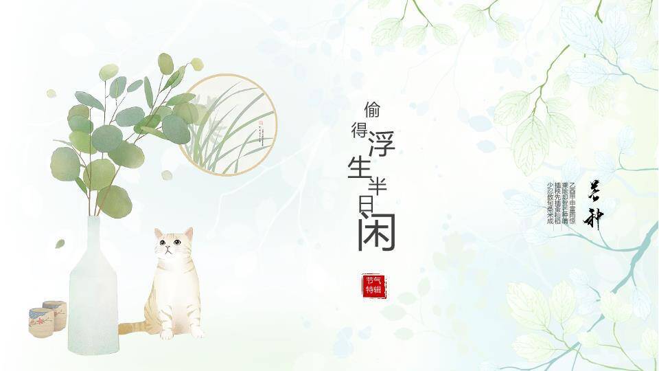 白猫绿植圆形窗国漫风节气芒种传统文化PPT模板0
