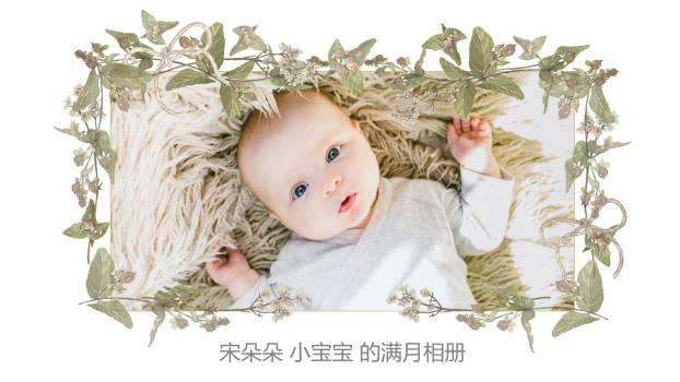 藤蔓环绕手绘生日满月相册PPT模板0