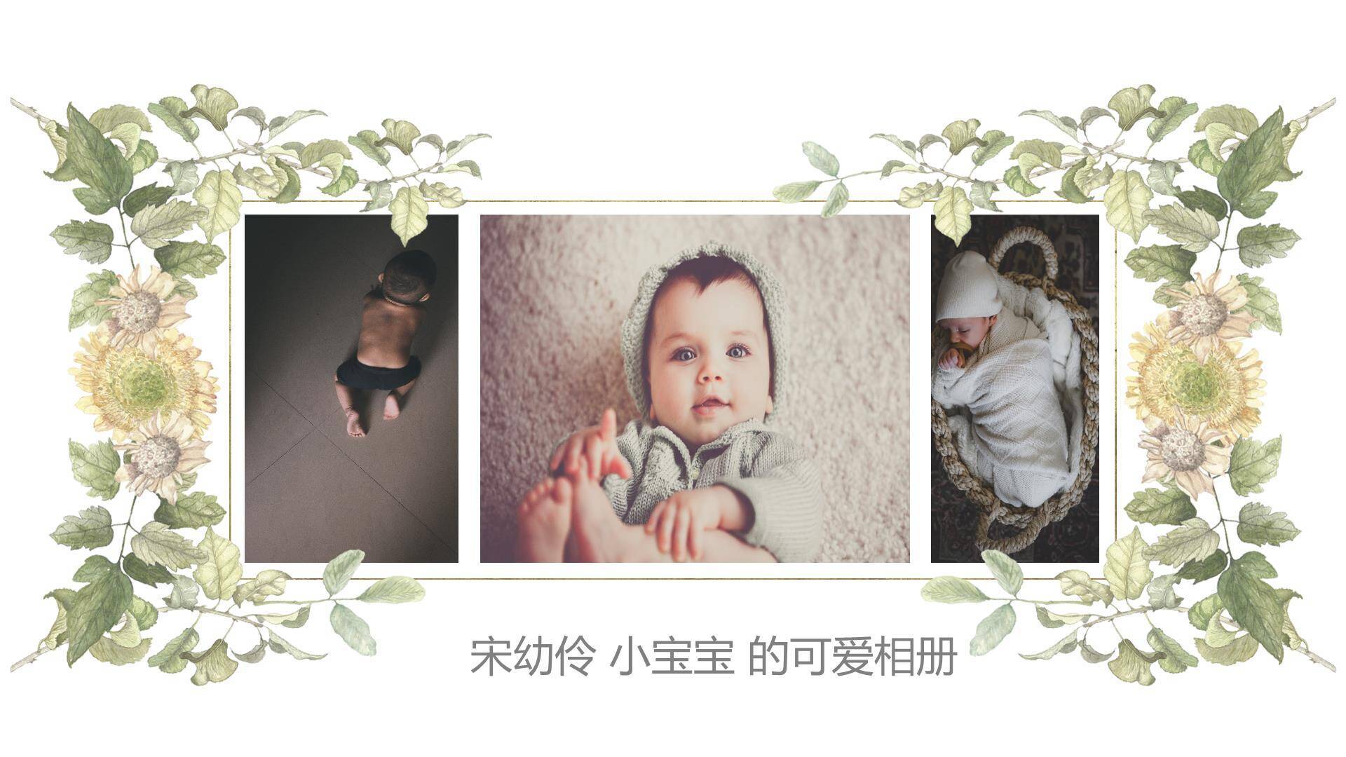 藤蔓环绕手绘生日满月相册PPT模板1