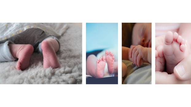 藤蔓环绕手绘生日满月相册PPT模板6