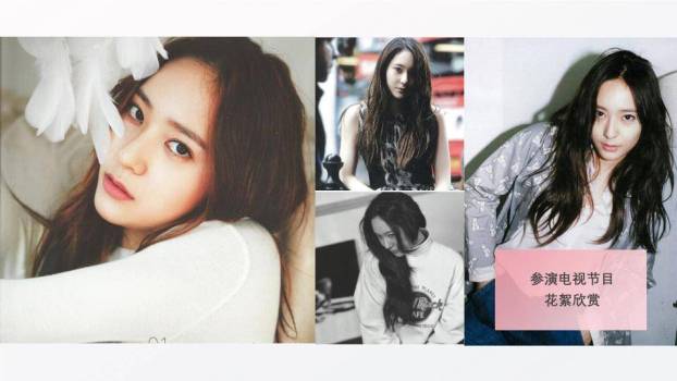 粉墨态度个性艺人介绍PPT模板1