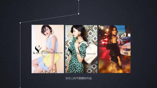 圆素浪潮多栖艺人形象介绍PPT模板4