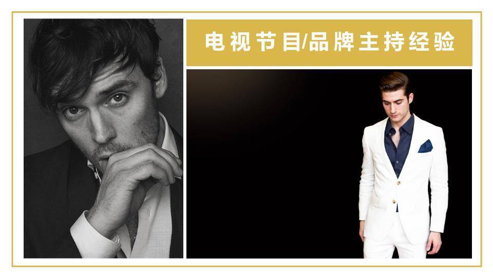 金菱锋芒艺人工作室品牌介绍PPT模板8