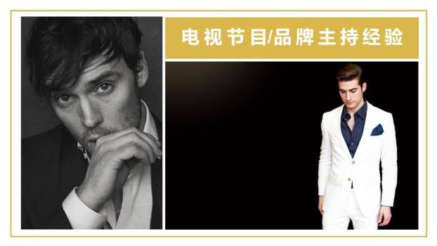 金菱锋芒艺人工作室品牌介绍PPT模板8