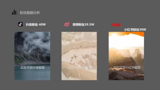 笔触映像演员个性资料介绍PPT模板6