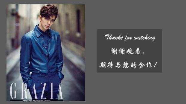 笔触映像演员个性资料介绍PPT模板7