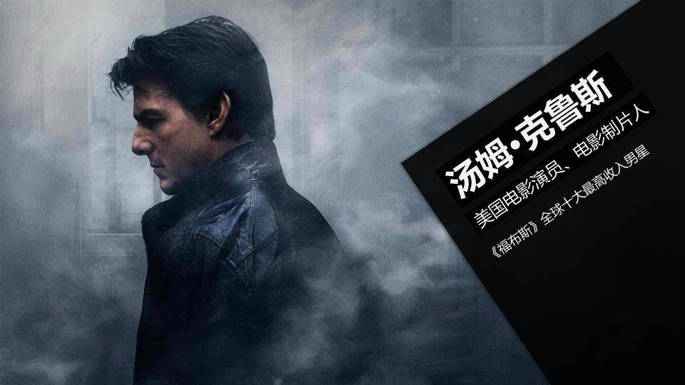 极致面容明星硬核介绍PPT模板2