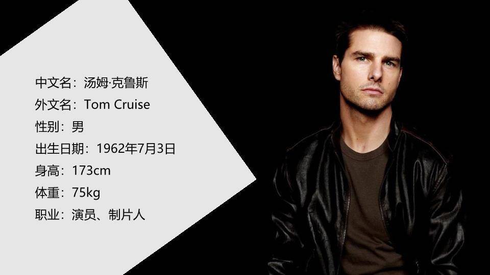 极致面容明星硬核介绍PPT模板4