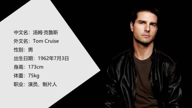 极致面容明星硬核介绍PPT模板4