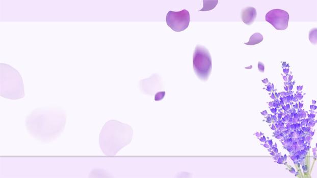 紫色小清新薰衣草花瓣PPT背景0