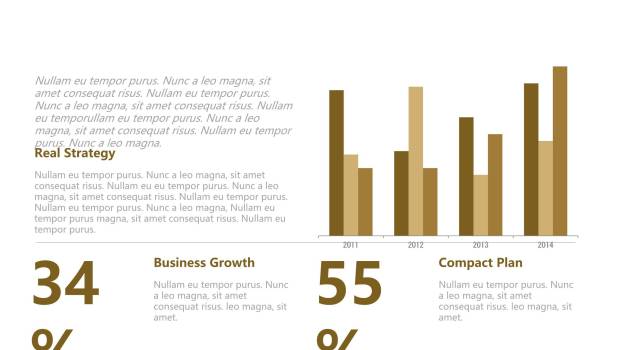 咖啡色总分关系PPT图表模板5