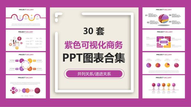 紫色可视化商务图表模板0