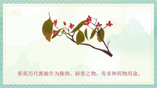 重阳节古诗教学中国风PPT模板1