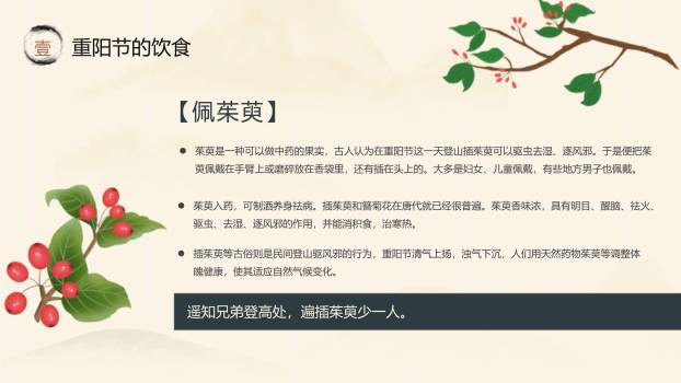 重阳节文化宣传中国风PPT模板9