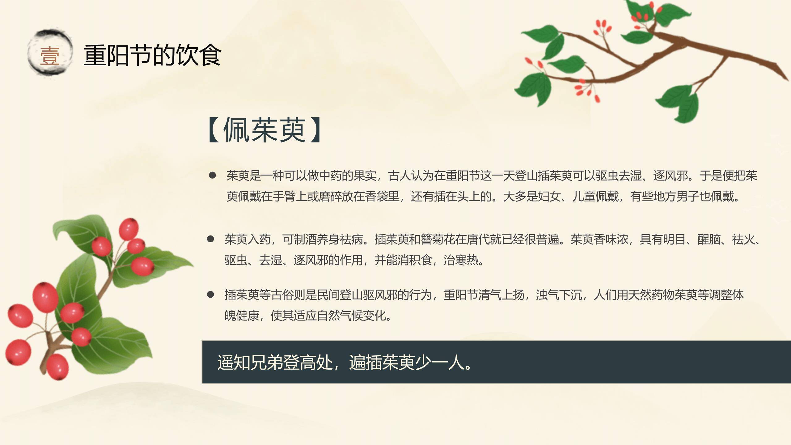 重阳节文化介绍中国风PPT模板9