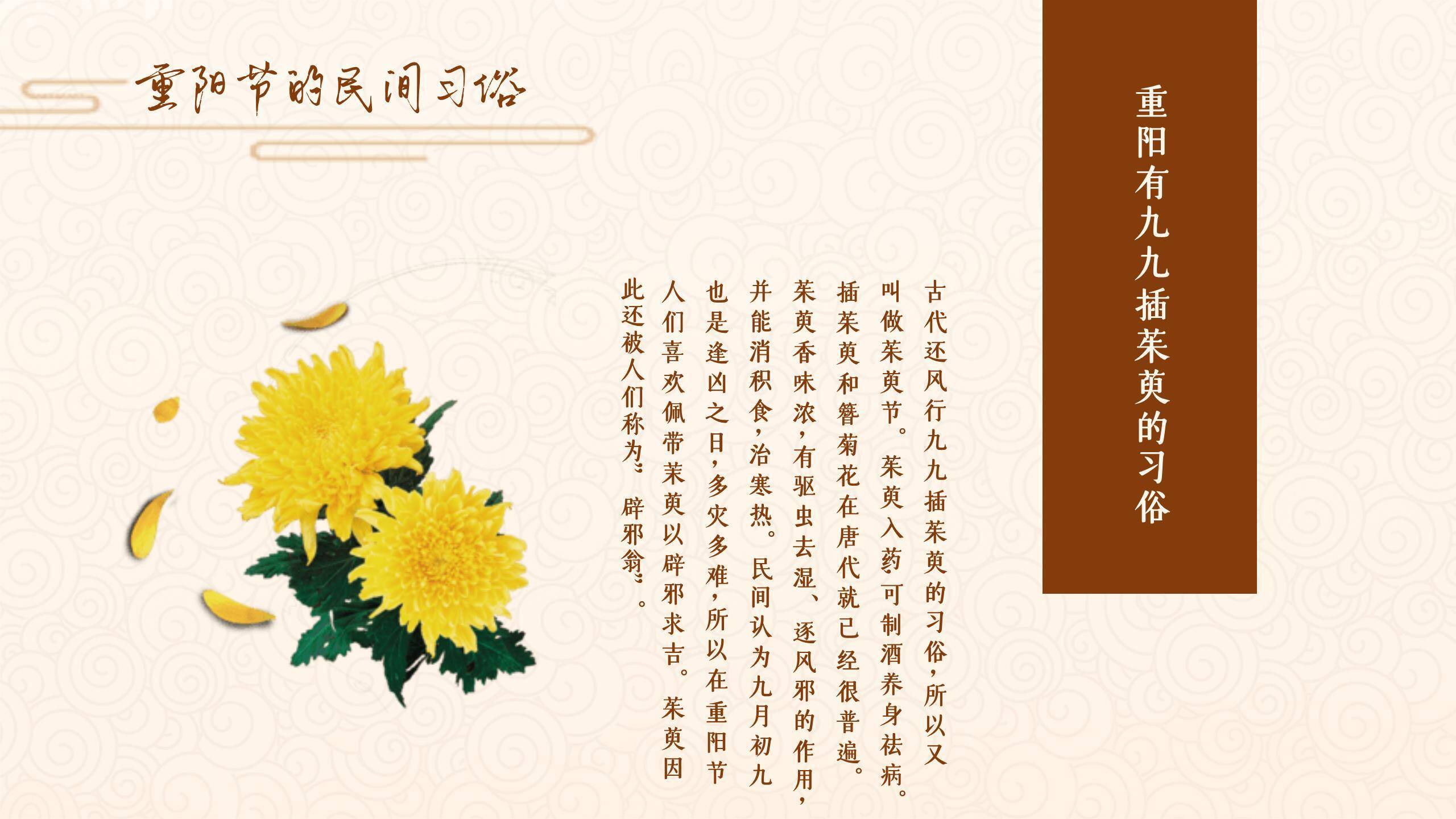 重阳节习俗教学中国风PPT模板9