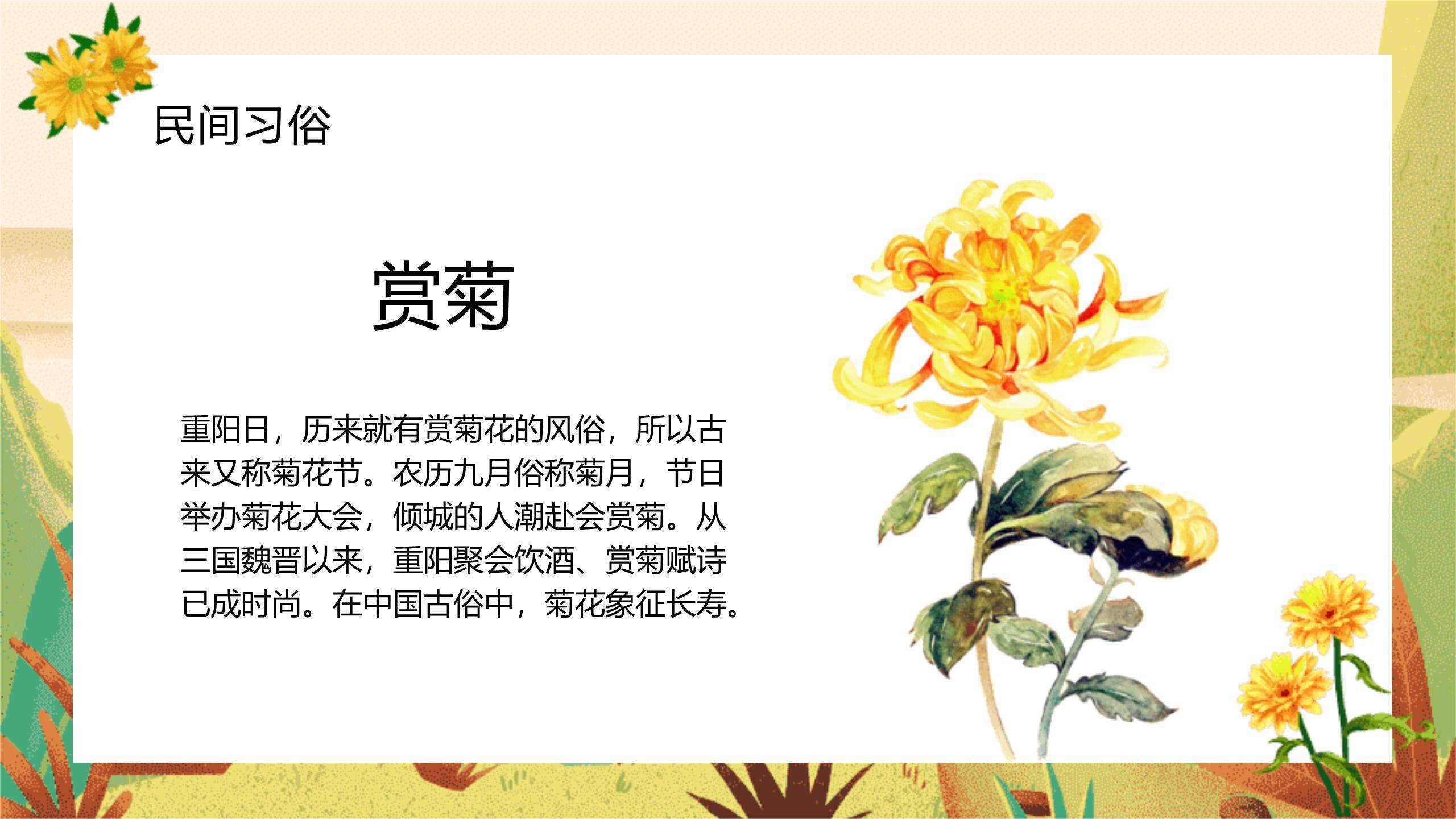 重阳节知识普及清新PPT模板1