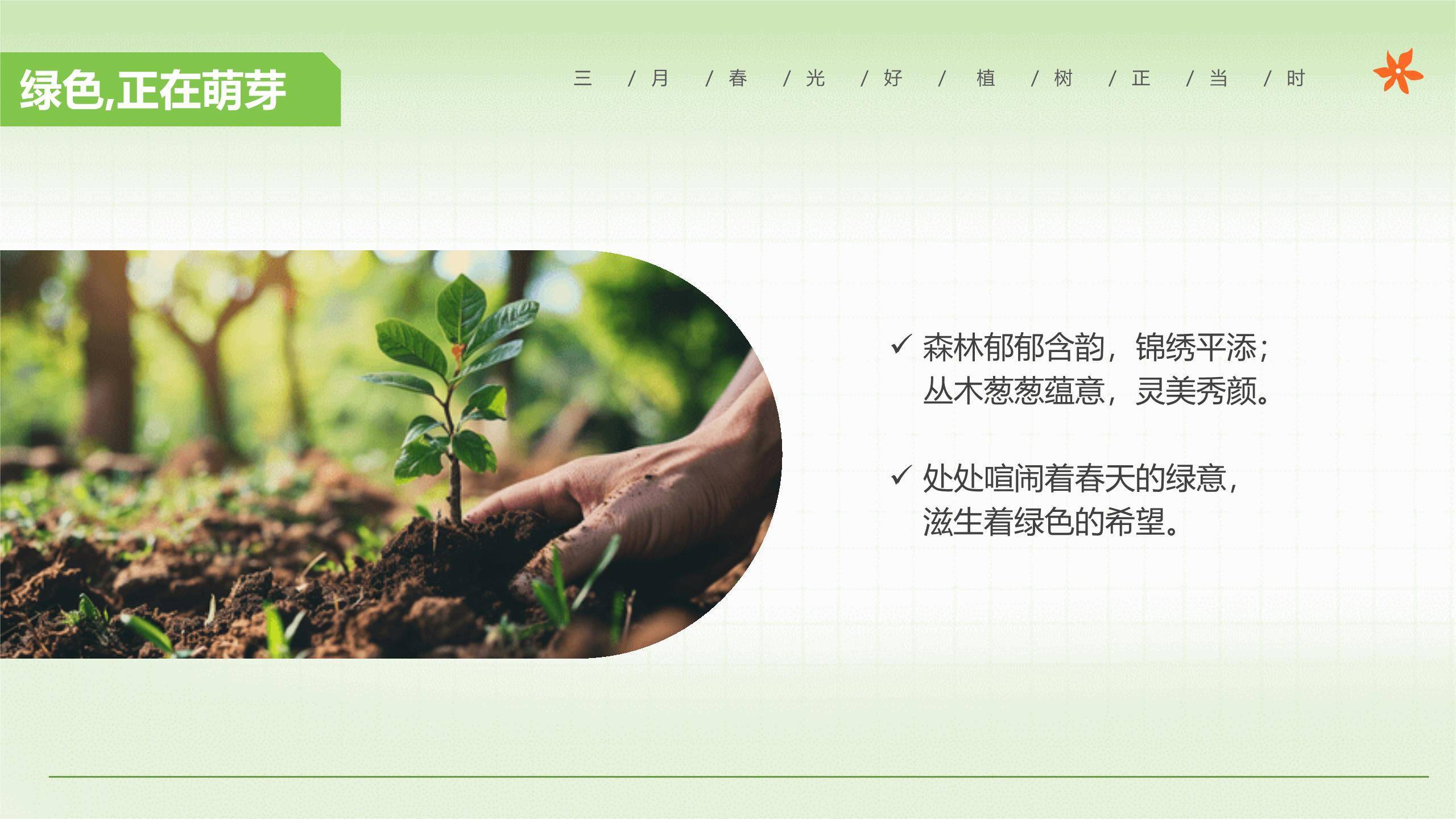 植树节中小学班会3D风PPT模板7