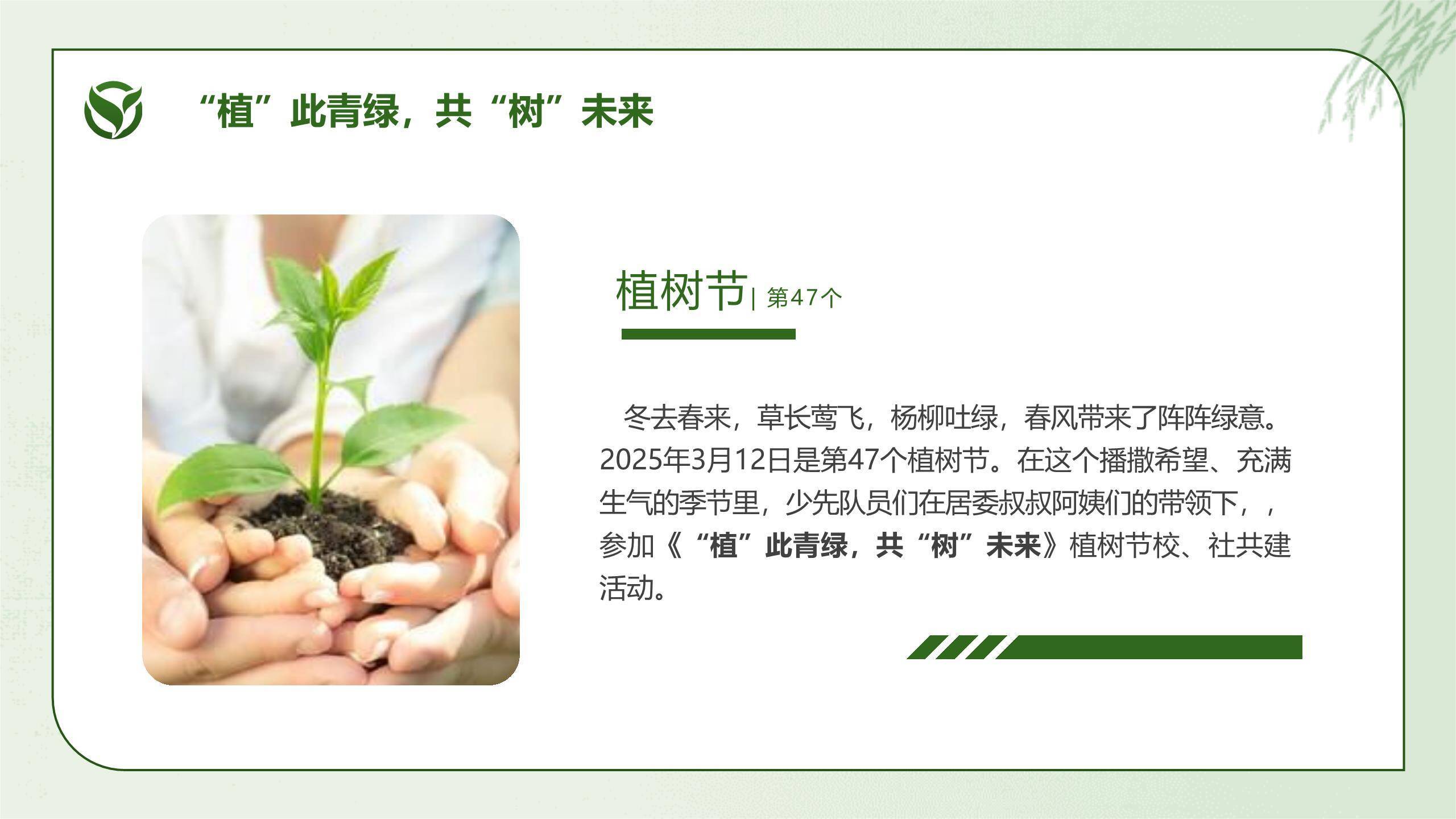 植树节主题班会简约风PPT模板8