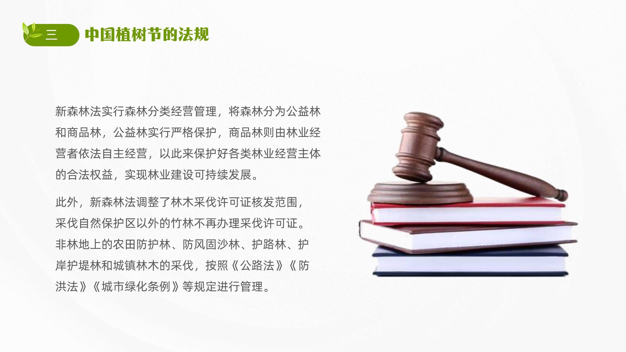 植树节活动策划几何PPT模板6