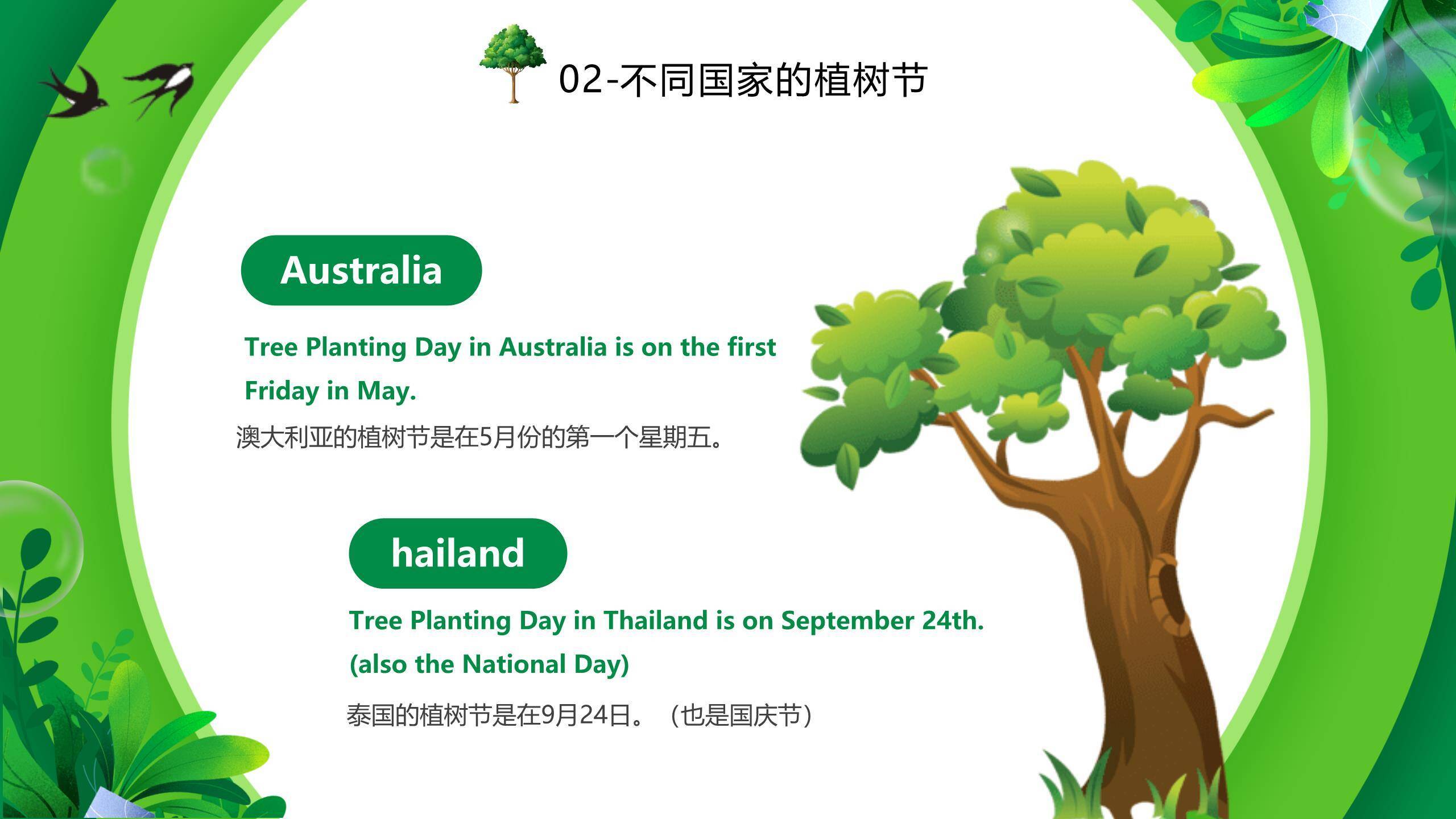 植树节知识介绍卡通PPT模板3