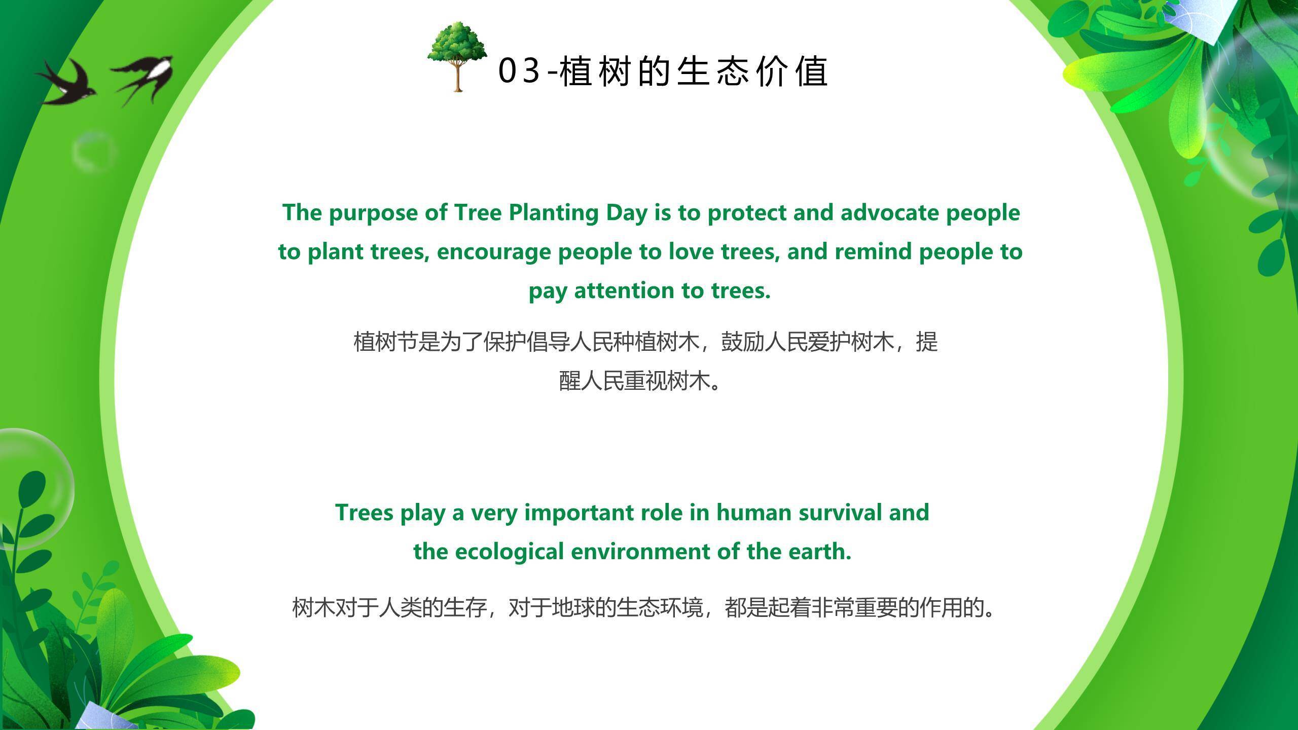 植树节知识介绍卡通PPT模板5