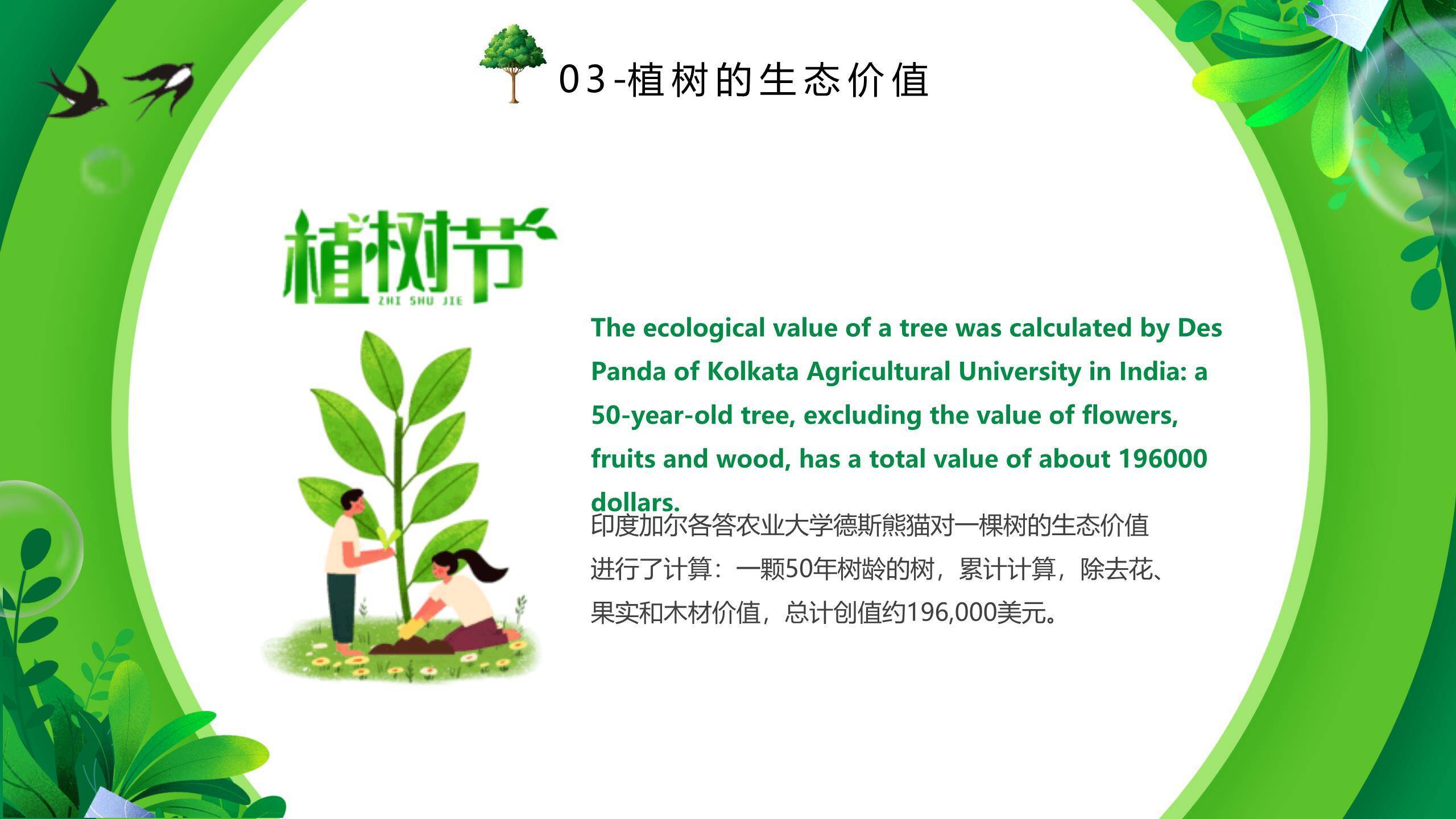 植树节知识介绍卡通PPT模板6
