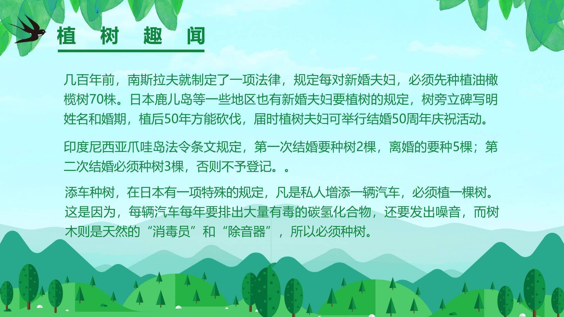 植树节主题班会扁平PPT模板1