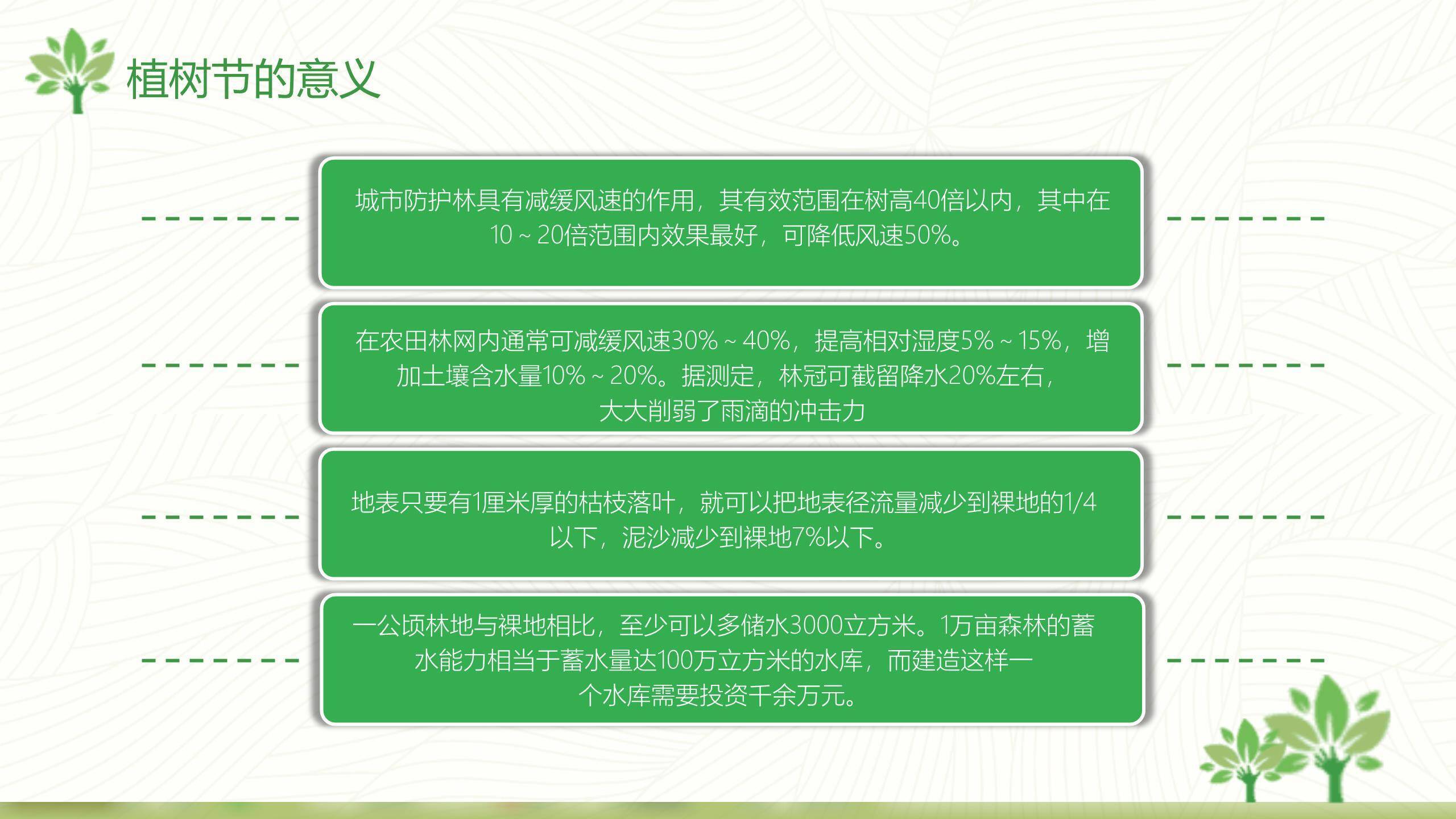 植树节幼儿教育卡通PPT模板3