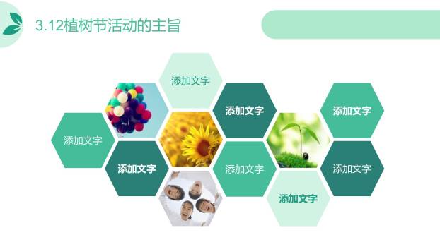 植树节工作汇报简约PPT模板2