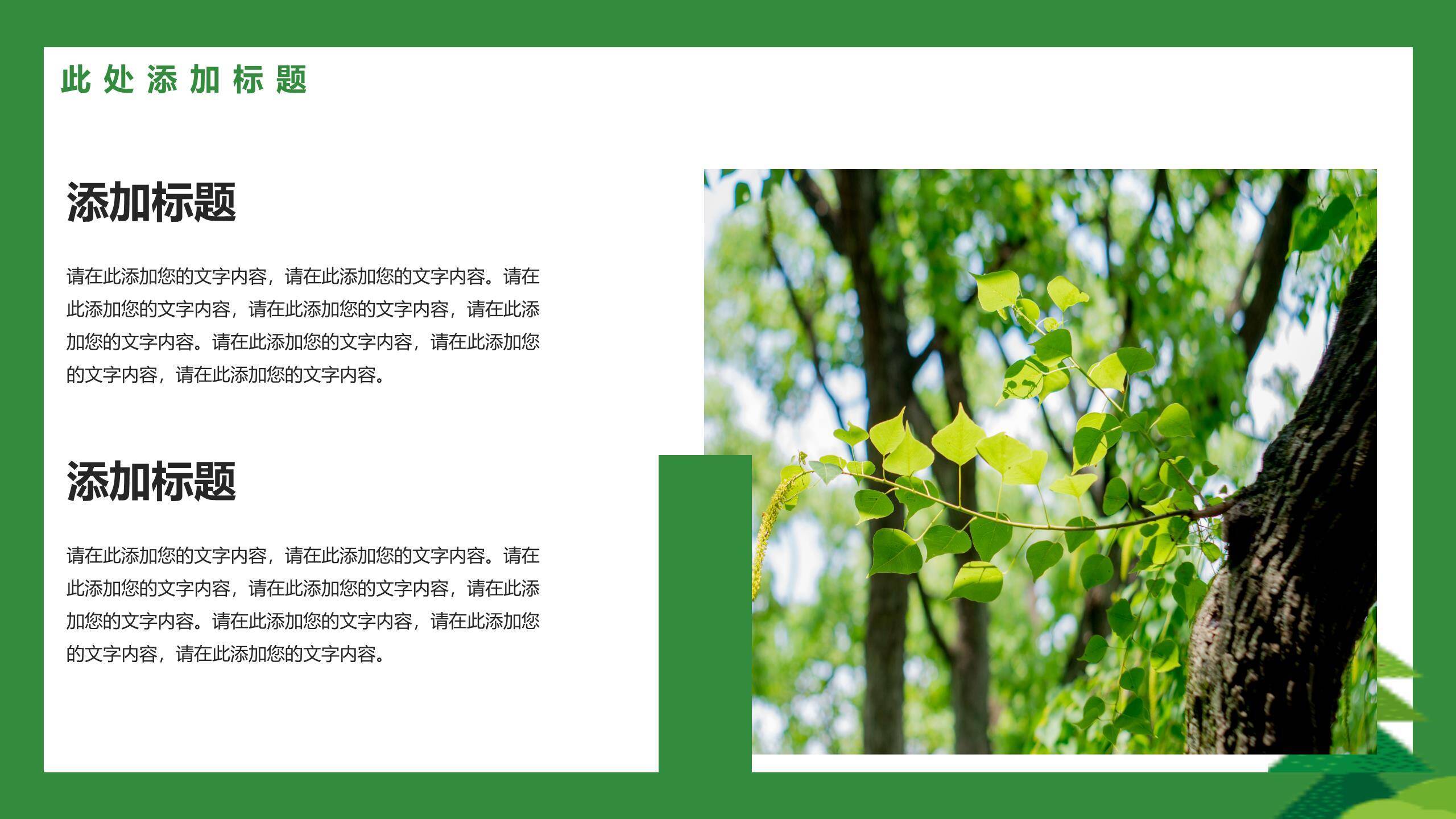 植树节通用扁平风PPT模板3