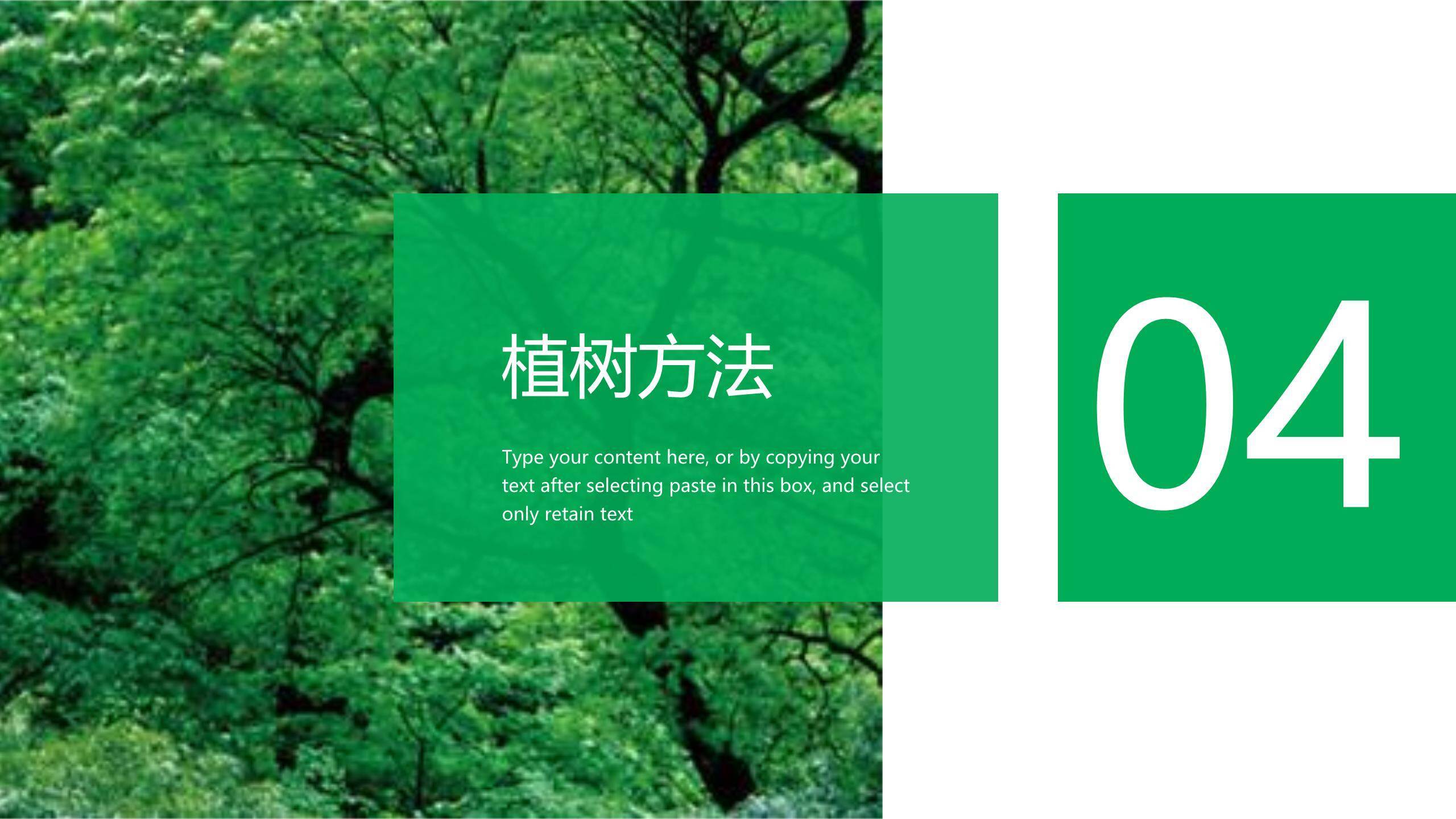 植树节策划案商务PPT模板6