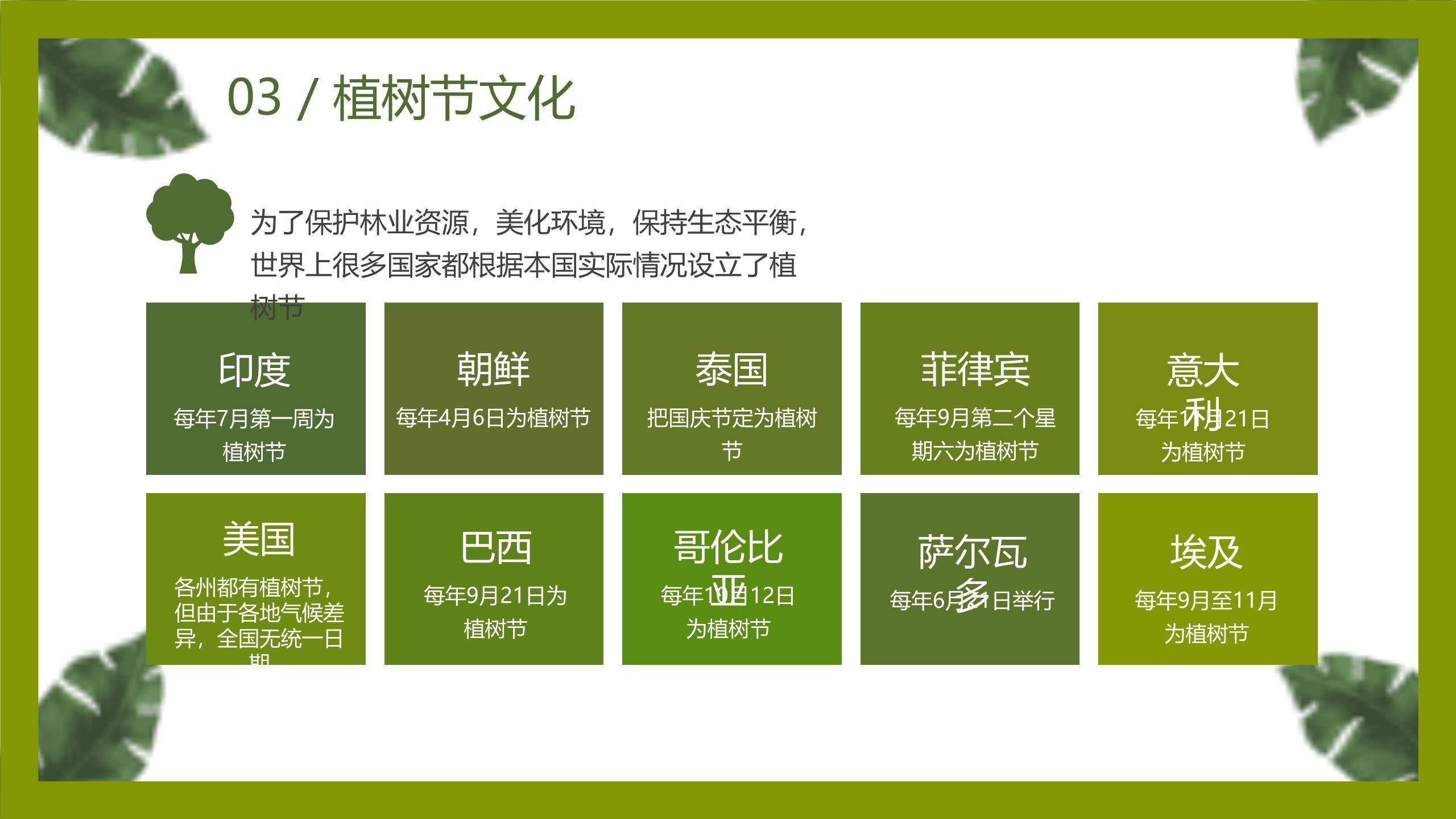 植树节主题班会卡通PPT模板9