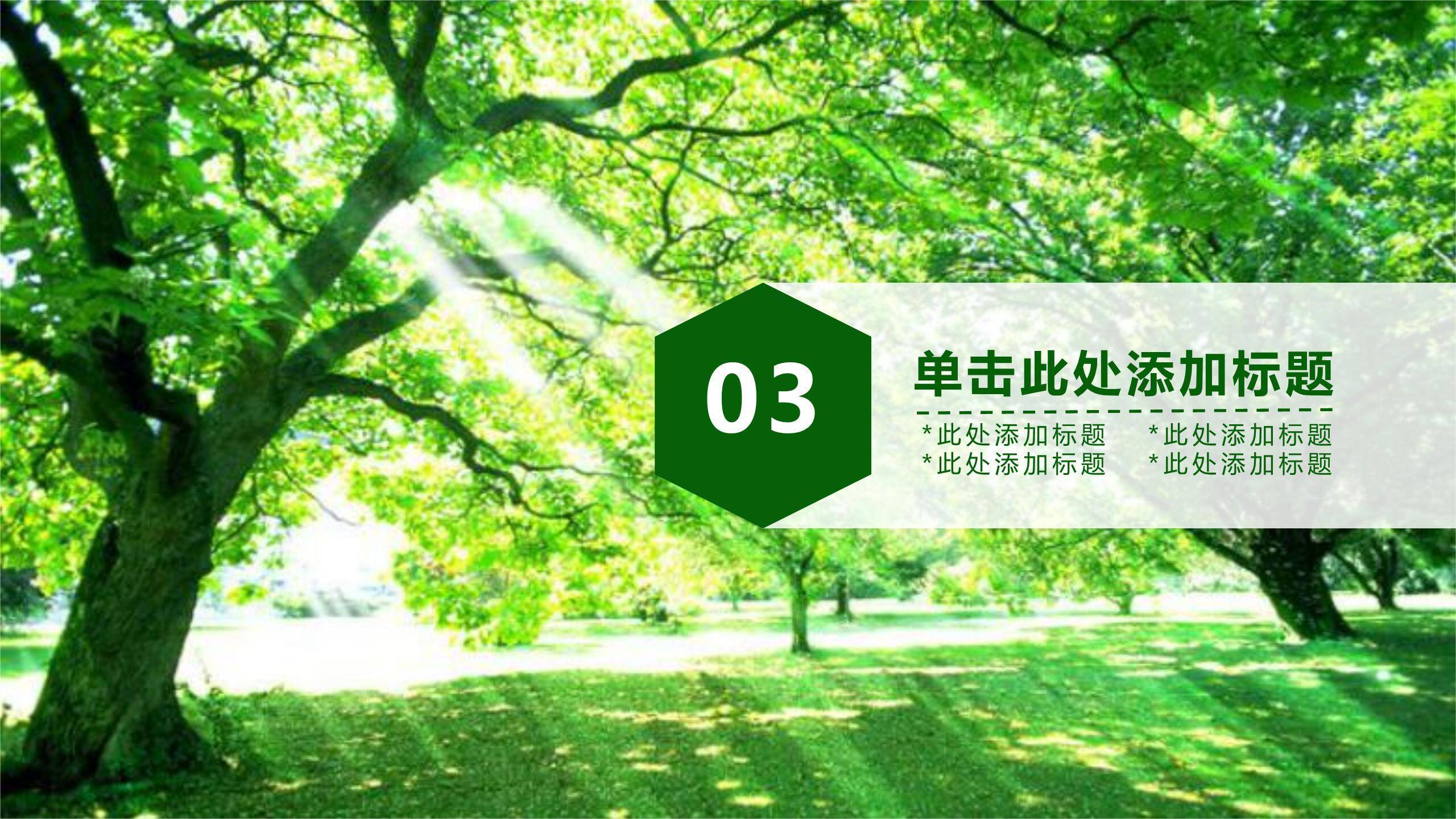 植树节环保演讲实景PPT模板6