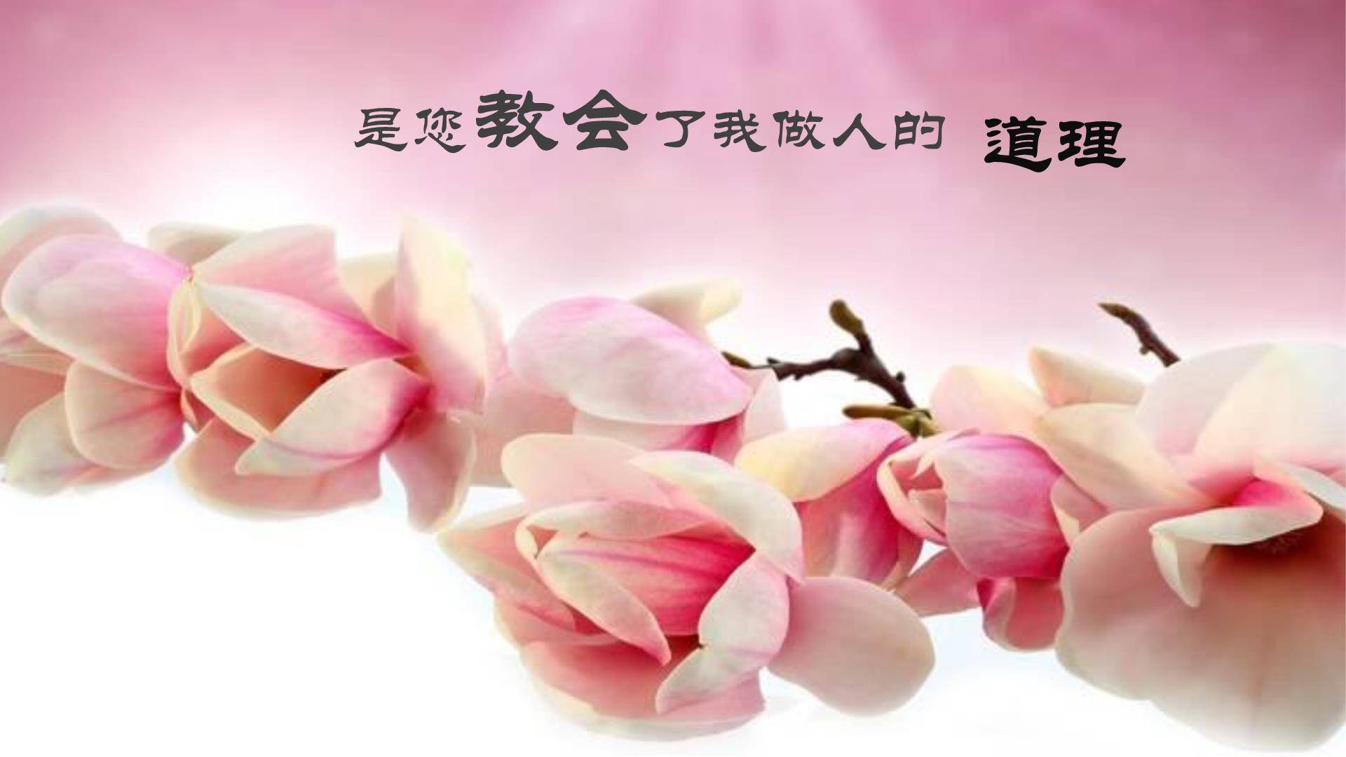 母亲节情感共鸣手绘PPT模板8