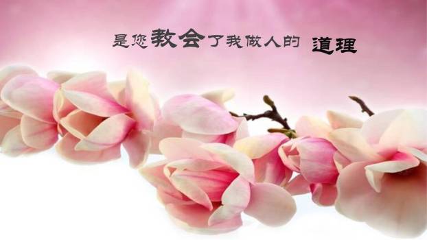 母亲节情感共鸣手绘PPT模板8