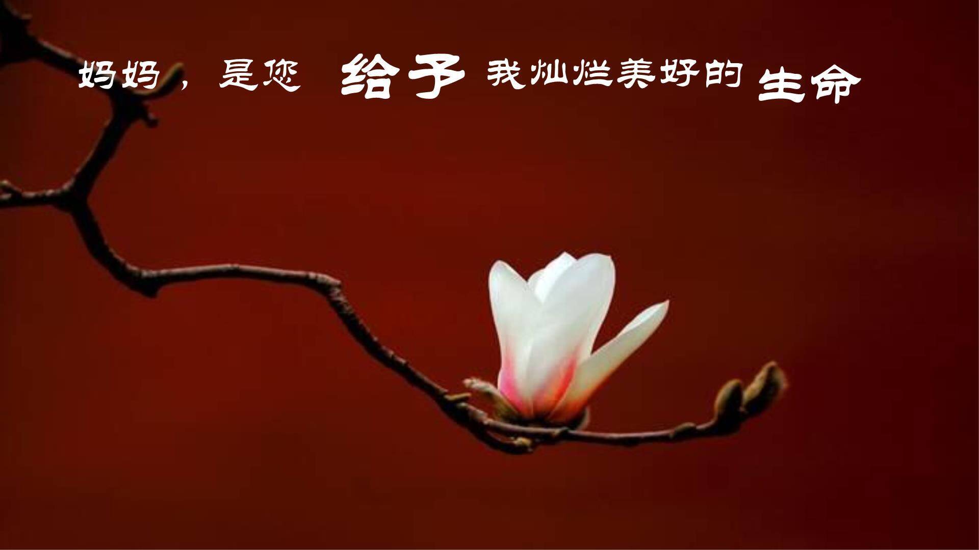 母亲节情感共鸣手绘PPT模板7