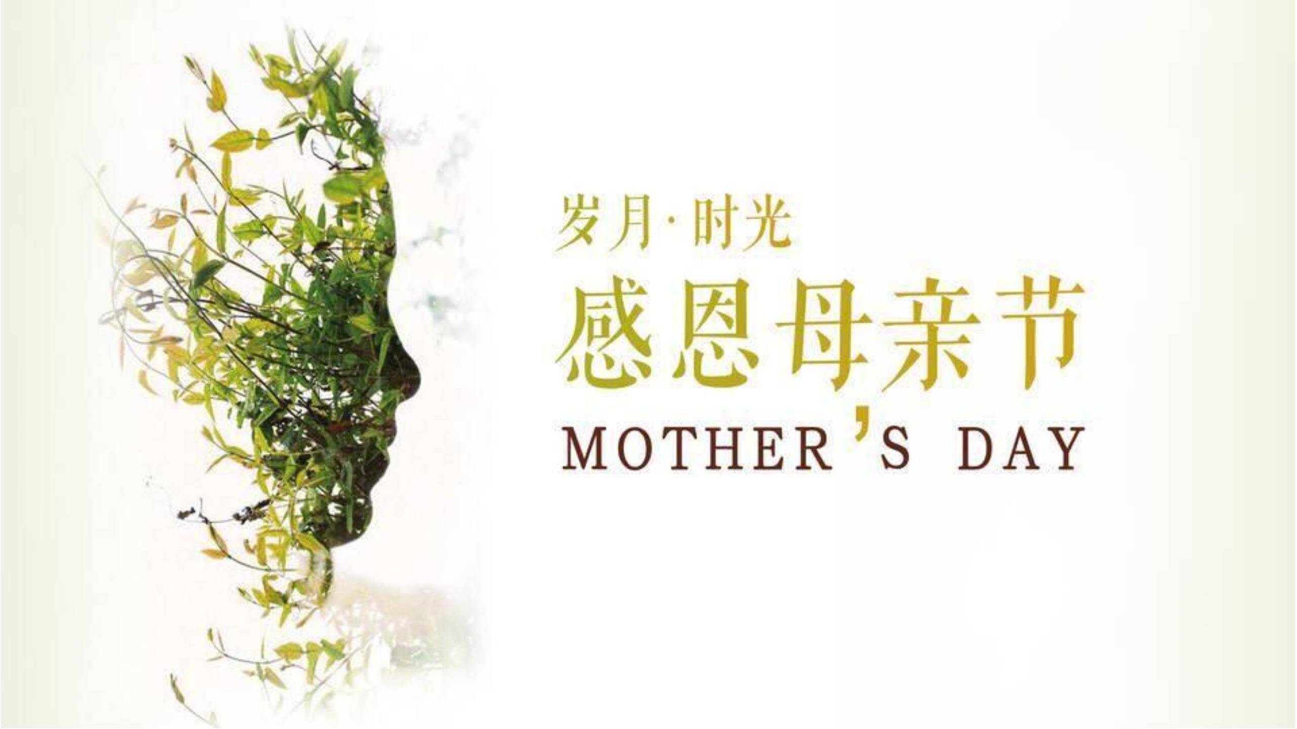 母亲节岁月致敬创意几何PPT模板0