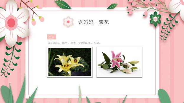 母亲节家庭感恩卡通PPT模板9