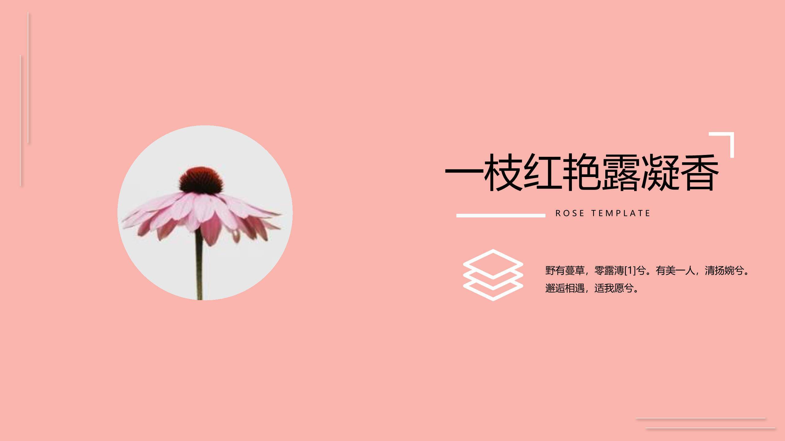 橙色扁平插画三七女生节主题文艺PPT模板8