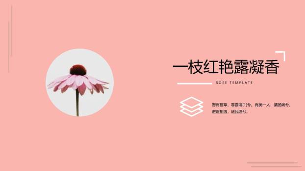 橙色扁平插画三七女生节主题文艺PPT模板8