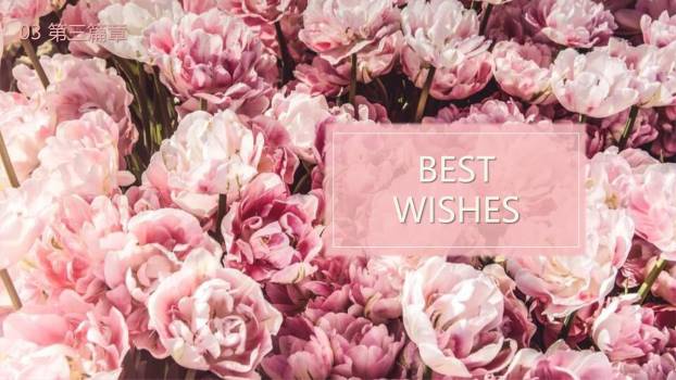 粉色欧美杂志风女生节祝福贺卡PPT模板9