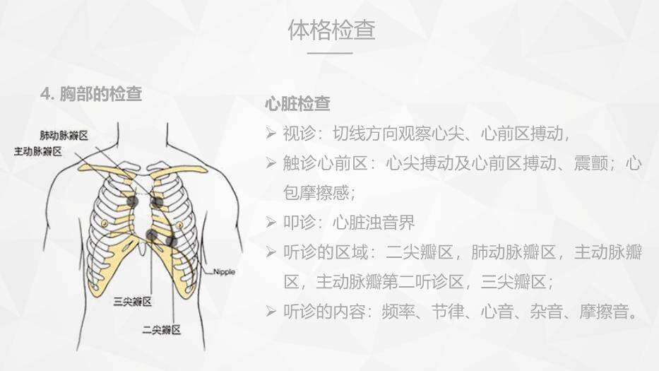 薄荷绿扁平化风格危重症病人的护理PPT模板9