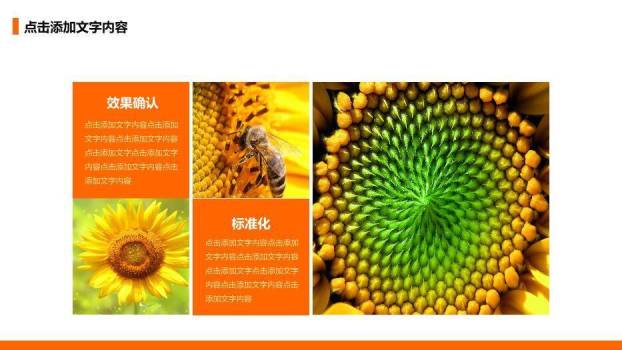 橙色花卉清新风品管圈PPT模板9