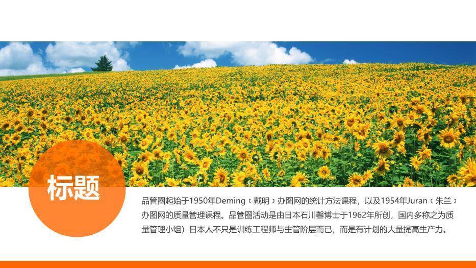 橙色花卉清新风品管圈PPT模板5