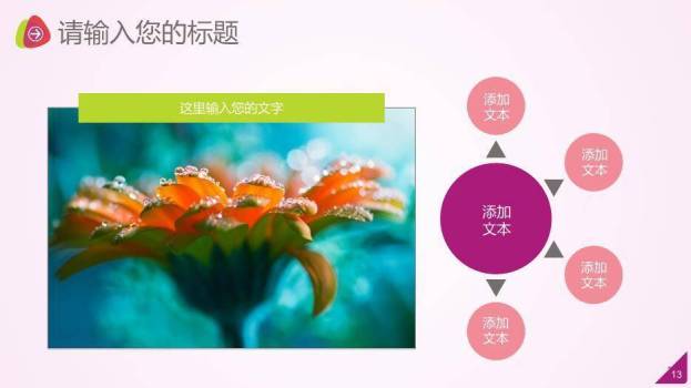 粉紫色妇幼健康育儿启蒙通用PPT模板4